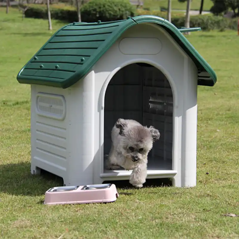 large dog house kennel