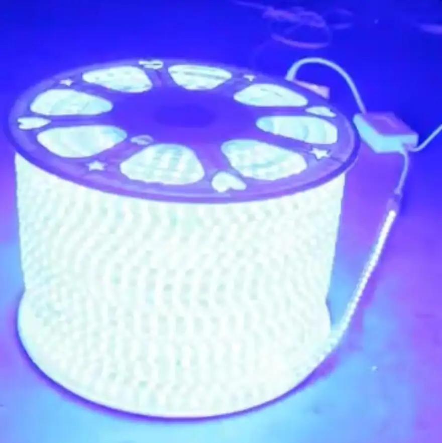 Светодиодная лента 220 5050 В 50 м 100 IP67 водонепроницаемая двухцветная RGB веревка для