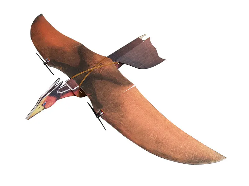 DW Hobby Pterodactyl 1600mm Wingspan Biomimetic EPP Flying Wing RC