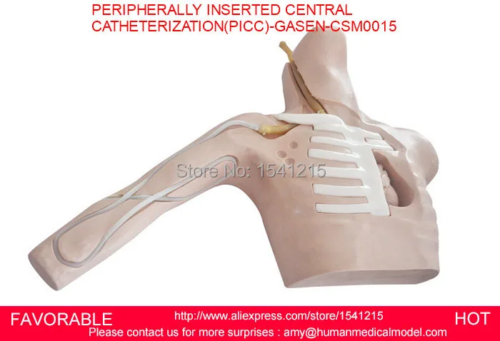

NURSING MANIKIN MEDICAL SIMULATION MODELS MEDICAL TRAINING MANIKINS PERIPHERALLY INSERTED CENTRAL CATHETERIZATION-GASEN-CSM0015