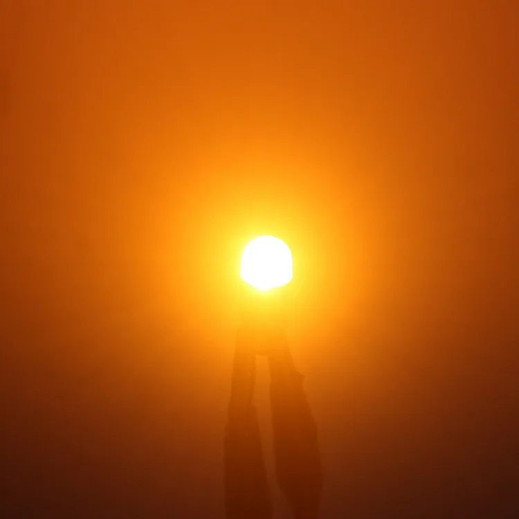 4402942012_1082100015