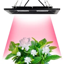 COB Светодиодная лампа, для выращивания растений, с широким диапазонном! 100 Вт 200 Водонепроницаемый IP67 для овощей цветок Крытый гидропонная теплица завод освещение лампа