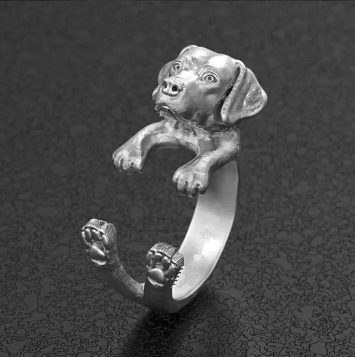 labrador retriever2
