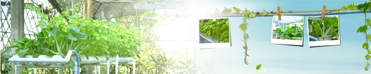 110 В/220 В водяной насос 36 отверстий лестница-стиль набор для выращивания растений без почвы садовая система двора места растений садовый инструмент для овощей