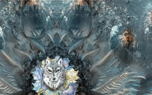 36020180628143257955