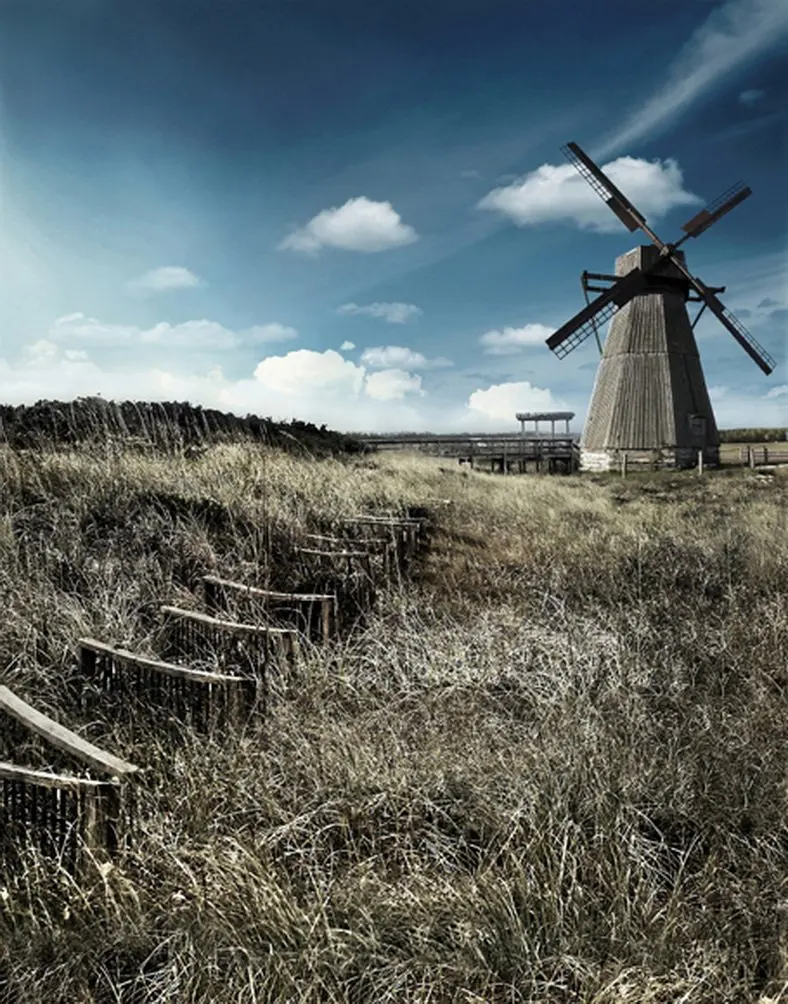 

5x7ft Windmill in Wild Photography Backdrops Photo Props Studio Background