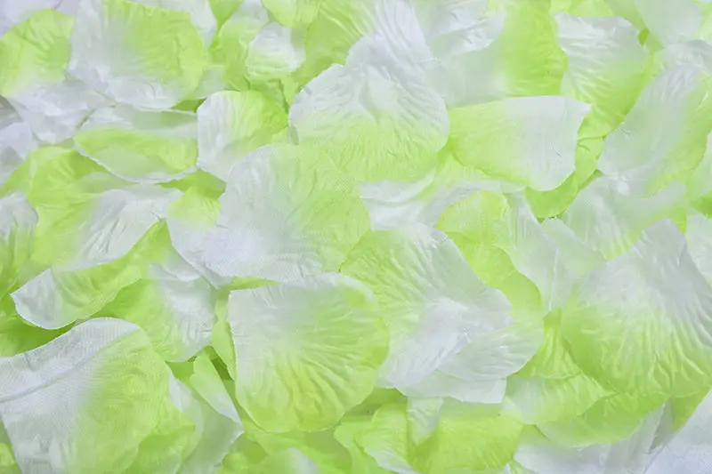 2382-27-10pcs-light green and white-