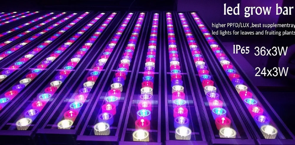 Greenhouse Waterproof 36w Red Blue And White Wall Washer Led Grow Lights 60 Degree Optical Beam Angle 660nm 460nm 12000k Led Grow Light Grow Lightled Grow Aliexpress