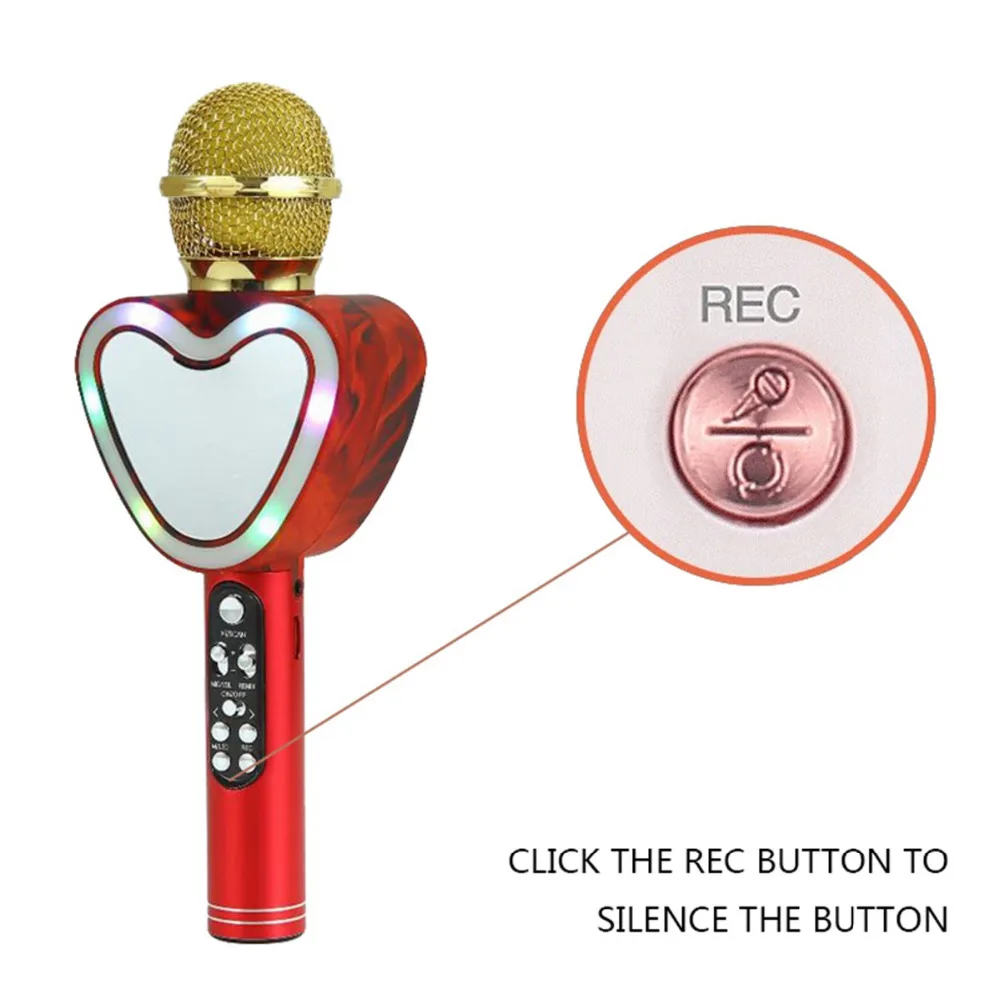 q5 karaoke microphone and speaker