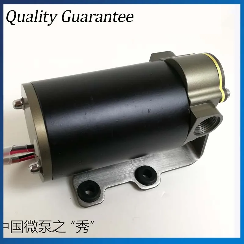 12V DC Mini Oil Transfer Pump 12L/min Big Capacity Electric Oil Pumping Pump