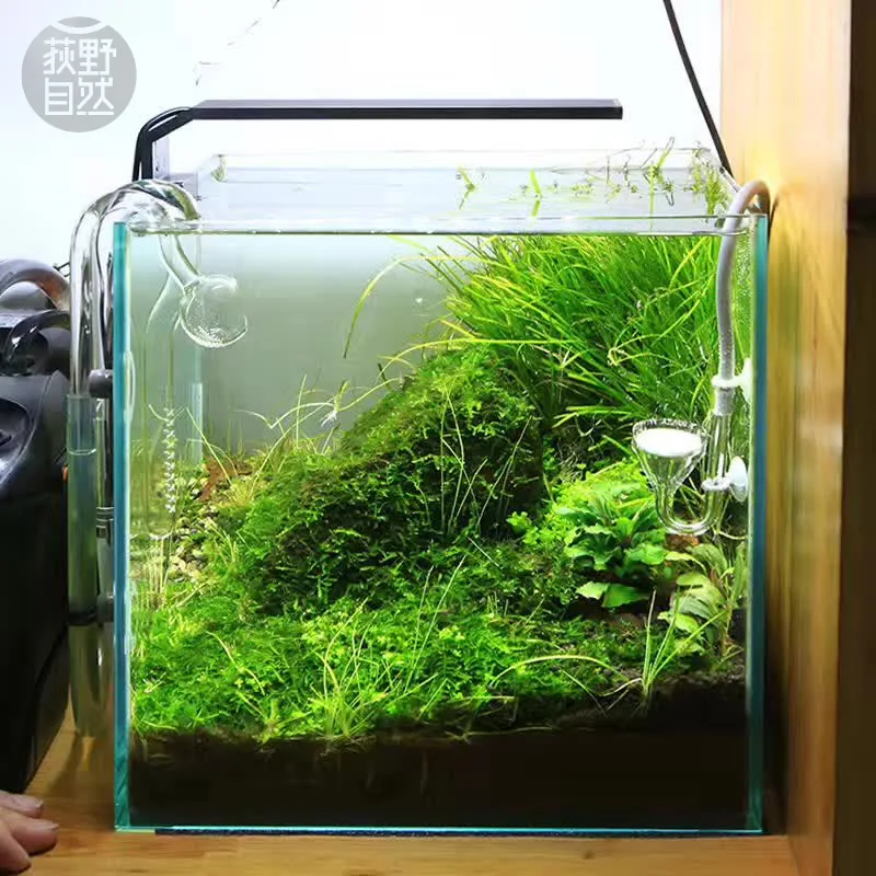 Chihiros C series стиль ADA светодиодная лампа для роста растений mini nano clip водяное