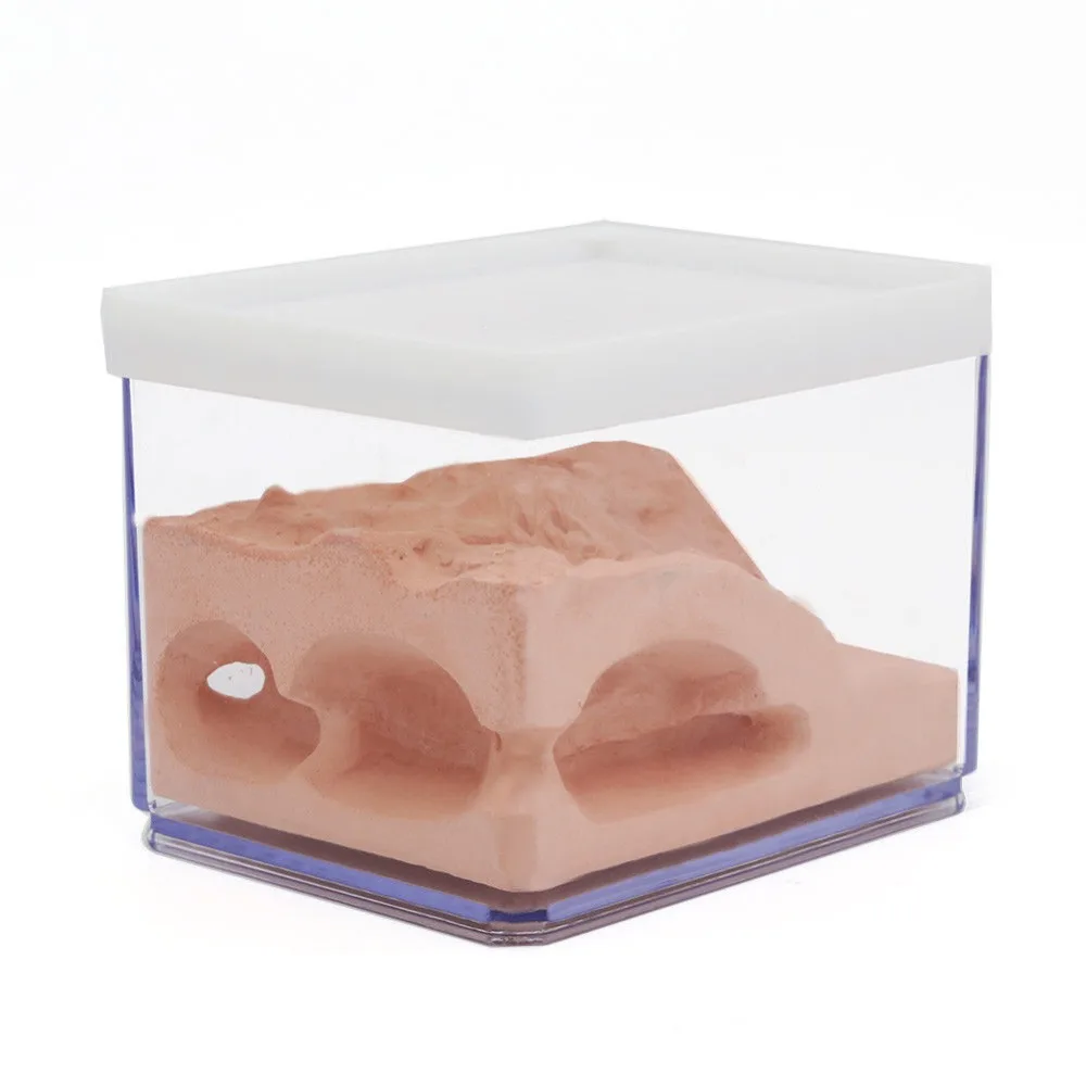 Муравей гнездо корпус муравей фермы коробка Formicarium Дисплей Чехол для маленького
