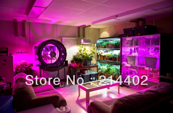 

Special link: led grow light and led aquarium light factory in Shenzhen