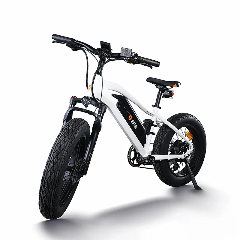 Yadea электровелосипед e-bike горный велосипед 20 дюймовая Толстая шина shimano Трансмиссия высокое качество известный бренд