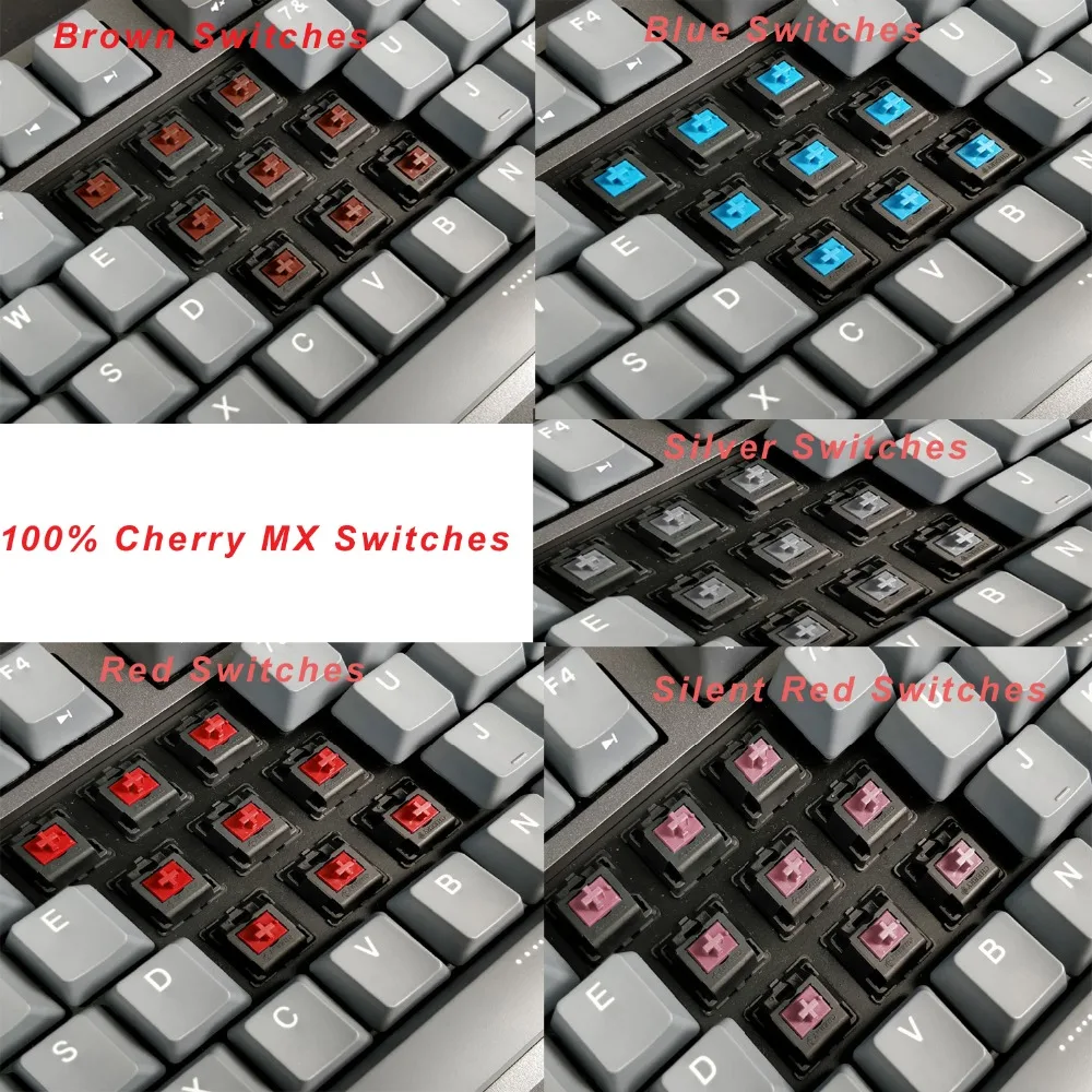 Cherry MX Switches