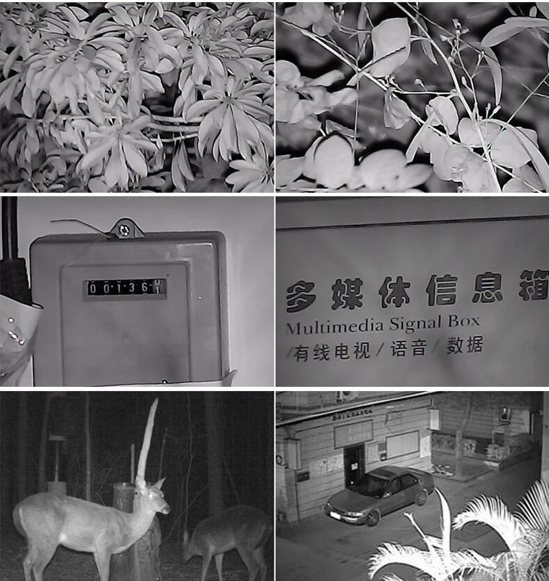 QQ20180515190348