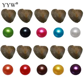 

10pcs/Lot 7-8mm Vacuum Pack Oyster Pearl Dyed Beads Pearl Oysters Single Bowling Individually Packaged Women Girls Birthday Gift