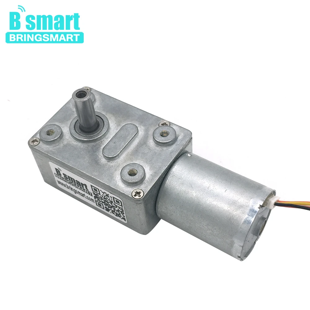 Bringsmart JGY-2430 24 В DC червячный мотор-редуктор 12 В DIY часть самоблокирующийся Реверсивный измерение скорости бесщеточный двигатель постоянного тока для низкого шума