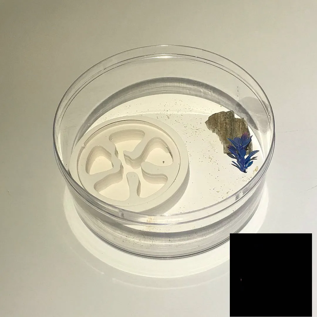 

1PCS Small round ant nest Acrylic pet birthday gift desk decoration new specials s farm house