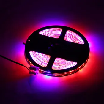 

5M Waterproof LED Strip Grow Lights 5050 SMD Red Blue Growing Lamp for Aquarium Greenhouse Hydroponic Plant Garden Flowers