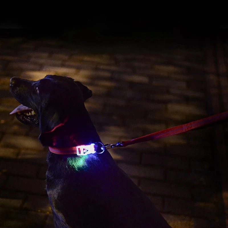 Водонепроницаемый светодиодный люминесцентный ошейник для собак Регулируемый ошейник для собак двухслойный нейлоновый ошейник для питомцев
