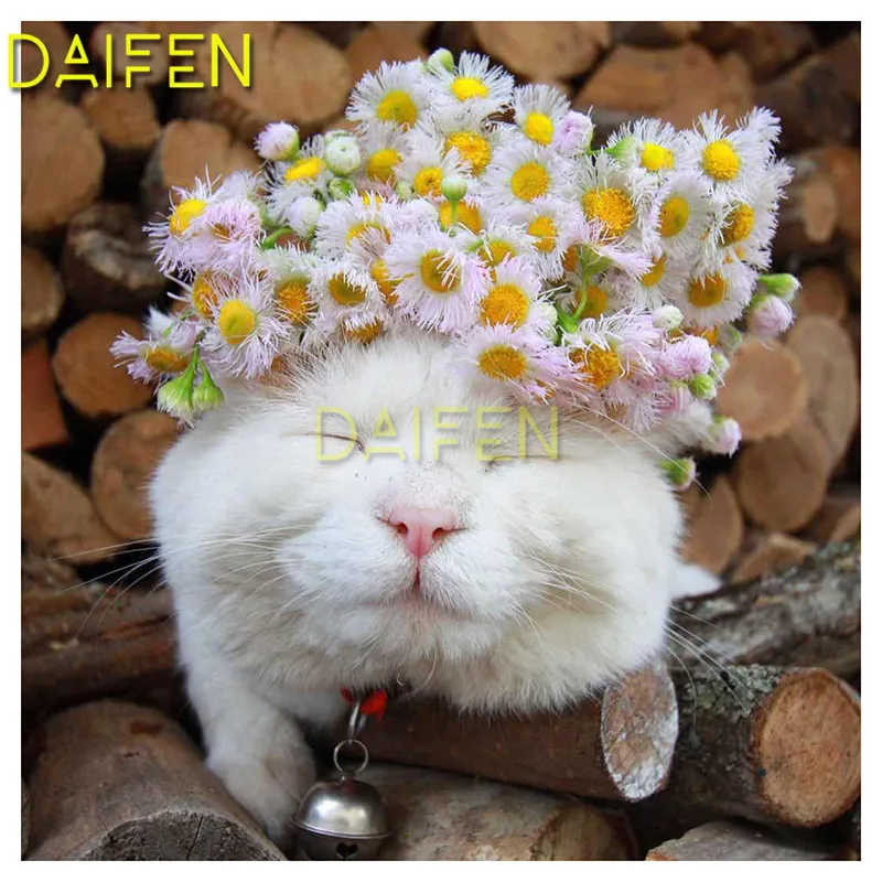

Full Round Diamond mosaic cat 5D DIY Diamond painting Cross stitch cat Full Square Diamond embroidery chrysanthemum cat