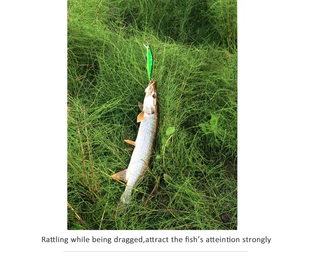 1szt lot 14 cm 23 7 g połowów przynęty Minnow twarde przynęty z 3 haczyki wędkarskie przynęty 3D oczy Darmowa wysyłka tanie i dobre opinie Rzeka zbiornik staw Ocean Boat Fishing Ocean Beach wędkowanie strumień jezioro W SEALURER Sztuczna przynęta 4 # Wysoka stal węglowa hak Treble 1szt lot 14 cm 23 7 g połowów przynęty Minnow twarde przynęty z 3 haczyki wędkarskie przynęty 3D oczy Darmowa wysyłka tanie i dobre opinie Rzeka zbiornik staw Ocean Boat Fishing Ocean Beach wędkowanie strumień jezioro W SEALURER Sztuczna przynęta 4 # Wysoka stal węglowa hak Treble