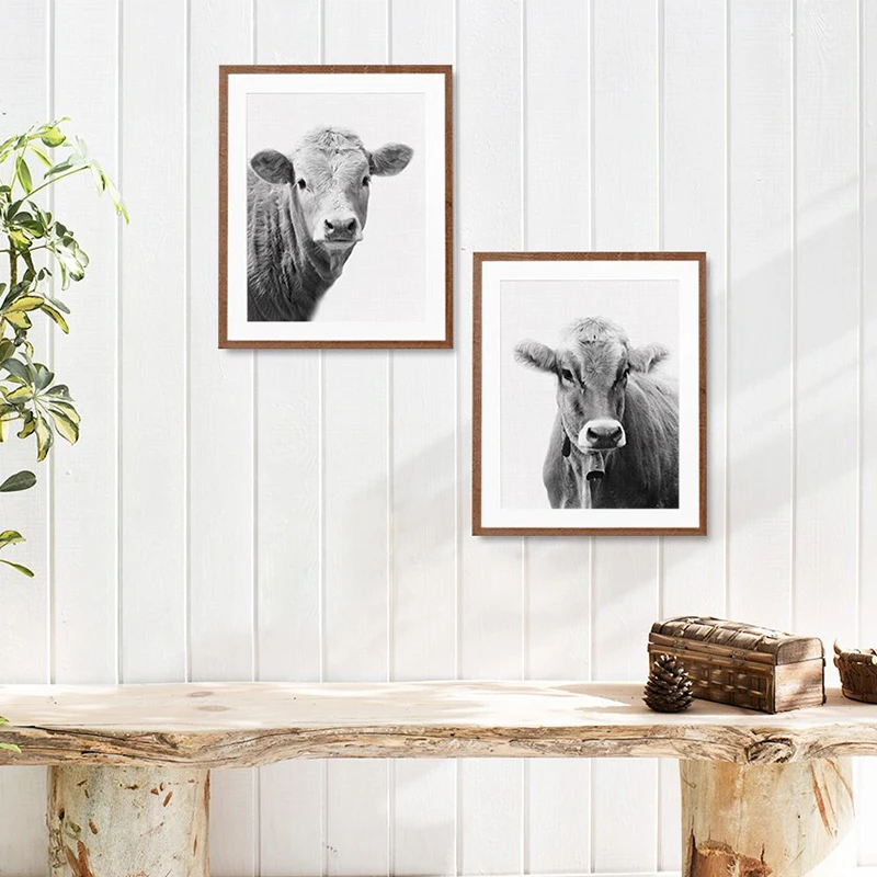 Cow Canvas Print