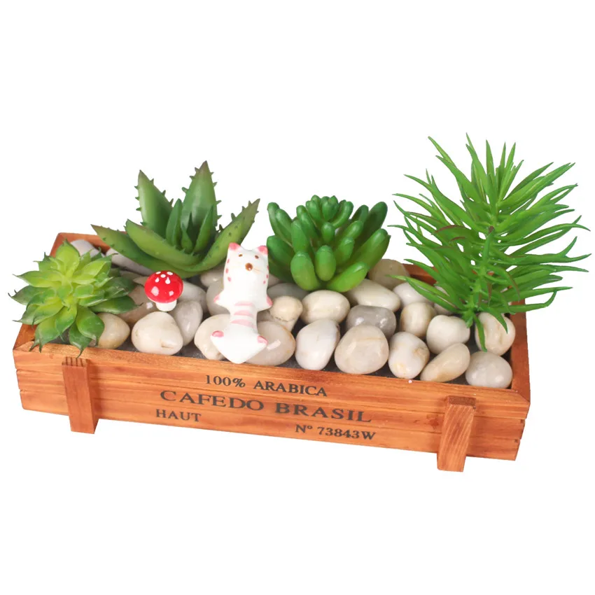 rtificial fleshiness Cactus plant Succulent plants cactus bonsai local landscape decorative flower for box decoration (2)