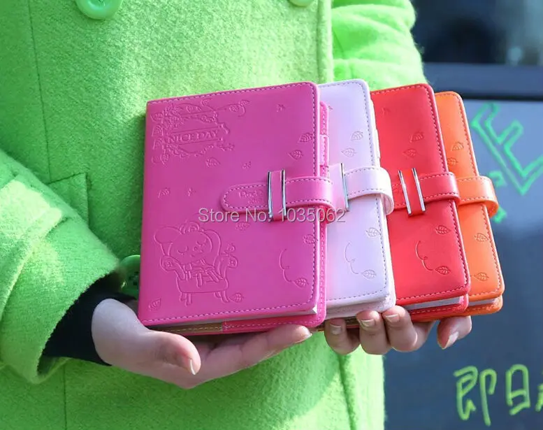 diary notebook (3)