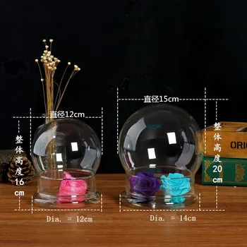 

Diameter=15cm Round Shape Glass Dome Vase Home Decoration Creative Glass Cover Glass Base Vase Friend Gift Wedding Decoration