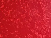 Pleroo пользовательские Гитары Палочки Gaurd-DIY акустических Гитары Палочки гвардии чистые листы Гитары Запчасти, Красный жемчуг