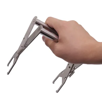 

1 pcs Pack Stainless Steel Bee Tools Nest Box Jig Beehive Equipment Bee Feeder Drinking Cellular Basis Nest Box Clip