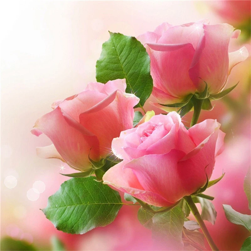 

LaoJieYuan diamond painting Gift 5D Diy Full Square/Round Stone Bead Drill Diamond Embroidery Cross Stitch kit