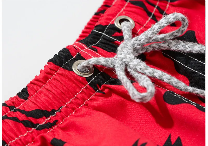 8665272471_644745104