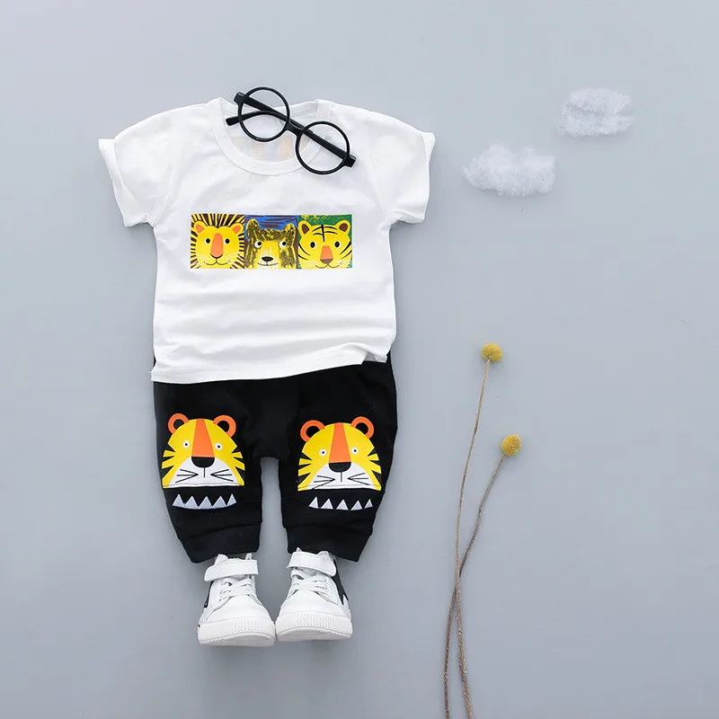 8622106235_1896196211