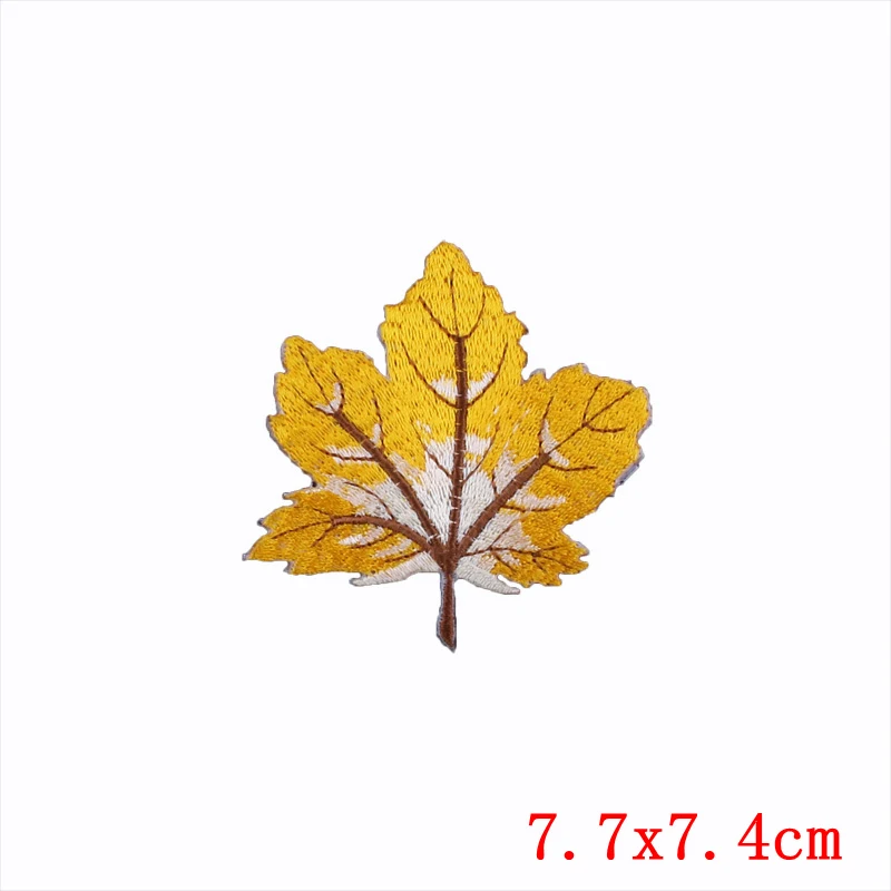 PE1544CT