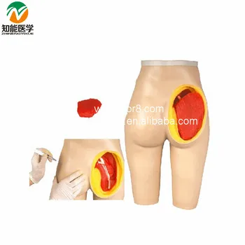 

BIX-H4T Buttock Injection And Medical Anatomical Models(Intramuscular ) W122