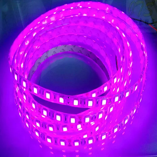 60LED/M 3528/5050 SMD Super Bright Purple Waterproof Strip Lamp Light 12V US 