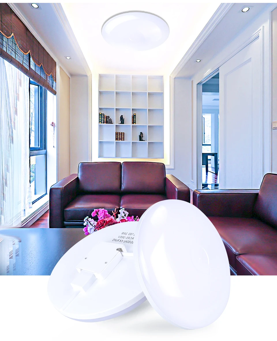  Diode Ceiling Light For Living Room Bedroom (2)