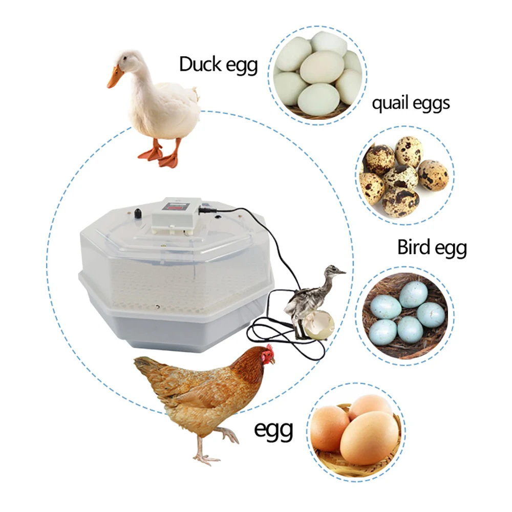 Высокое качество 60 куриных яиц инкубатор инкубационный мини бытовой Птицы Инкубатория Машина Утка индейка и Гусь яйцо инкубатор