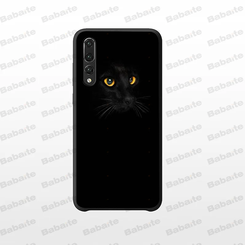 Black Cat Staring Eye