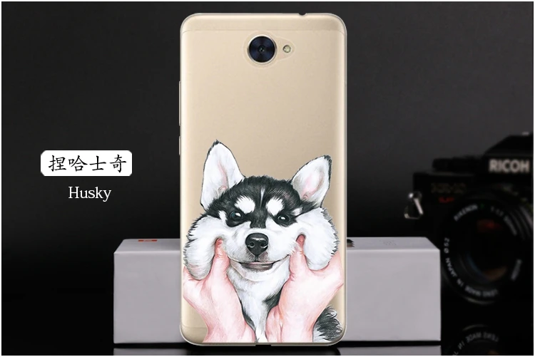  Husky