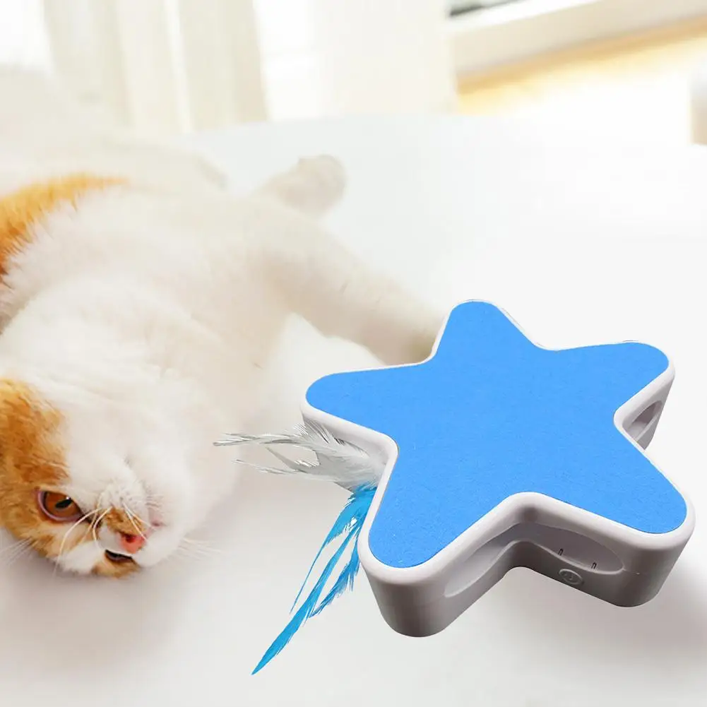 Starfish Cat-Teasing Turntable Image 6