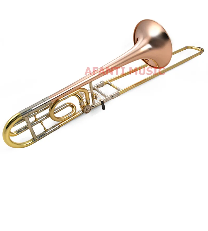 (5)_