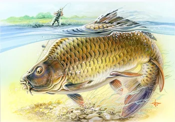 

Newest Diy Diamond painting Golden Fish Free Swimmiing in the water sqare diamond embroidery decorative unfinished painting