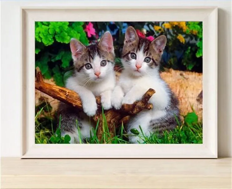 

5D Needlework Diy Diamond Painting Cross Stitch Diamond Embroidery most beautiful little cats square full Drill Home Decor