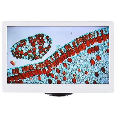 HD1080A-HDM 4