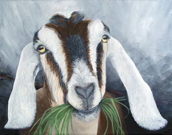 LIPHISFUN-DIY-5D-Diamond-Painting-Diamond-Embroidery-Cross-Stitch-Full-Drill-Home-Decor-Square-round-Animal22.jpg_640x640