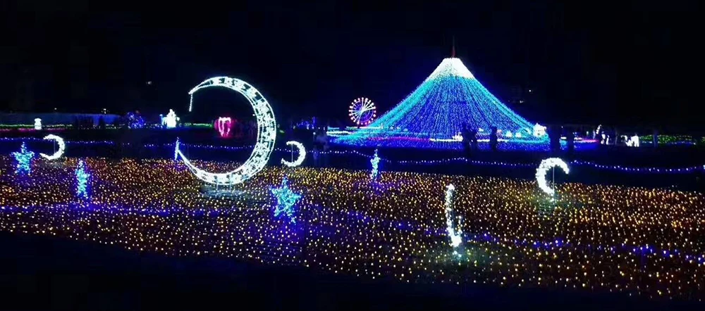 LL81-100M (4)